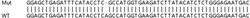 Abcam&nbsp;Human IPO9 (Importin 9/RANBP9) knockout HeLa cell lysate.