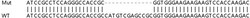Abcam&nbsp;Human H2AFY (mH2A1) knockout HEK-293T cell lysate.