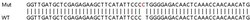 Abcam&nbsp;Human GNA13 knockout HCT116 cell lysate.