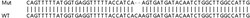 Abcam Human FABP5 knockout HeLa cell lysate.