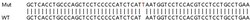 Abcam&nbsp;Human DAPK3 (ZIP Kinase) knockout HEK-293T cell lysate.