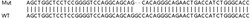 Abcam Human GRN (Granulin) knockout HEK-293T cell lysate.