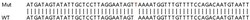 Abcam&nbsp;Human IL6ST (CD130/gp130) knockout A549 cell lysate.