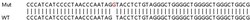 Abcam Human PML (PML Protein) knockout A549 cell lysate.