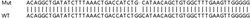 Abcam&nbsp;Human PRDX1 (Peroxiredoxin 1/PAG) knockout HEK-293T cell lysate.