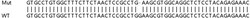 Abcam&nbsp;Human PCNT (Pericentrin) knockout HEK-293T cell lysate.
