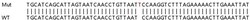 Abcam&nbsp;Human CXCL10 (IP10) knockout A549 cell lysate.