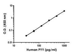 Abcam&nbsp;Human PYY Antibody Pair - BSA and Azide free, 10 x 96 Tests