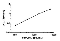 Abcam Rat CD73 Antibody Pair - BSA and Azide free, 10 x 96 Tests