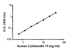 Abcam&nbsp;Human Cytokeratin 19 Antibody Pair - BSA and Azide free, 10 x 96 Tests