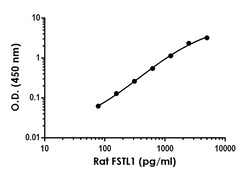 Abcam&nbsp;Rat FSTL1 Antibody Pair - BSA and Azide free, 10 x 96 Tests
