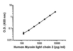 Abcam Human Myosin light chain 3 Antibody Pair - BSA and Azide free, 10 x 96 Tests