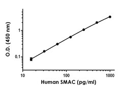 Abcam&nbsp;Human/Mouse Smac/Diablo Antibody Pair - BSA and Azide free, 10 x 96 Tests