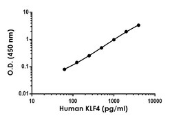Abcam&nbsp;Human KLF4 Antibody Pair - BSA and Azide free, 10 x 96 Tests