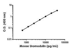 Abcam Mouse Uromodulin Antibody Pair - BSA and Azide free, 10 x 96 Tests