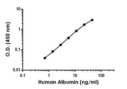 Abcam Human/Monkey Albumin Antibody Pair - BSA and Azide free, 10 x 96 Tests