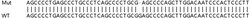 Abcam Human IRF3 knockout HeLa cell line