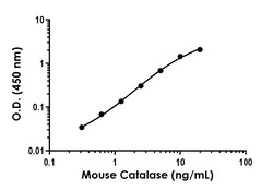 Abcam Mouse Catalase Antibody Pair - BSA and Azide free, 10 x 96 Tests