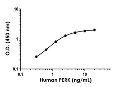 Abcam Human PERK Antibody Pair - BSA and Azide free, 10 x 96 Tests