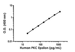 Abcam&nbsp;Human PKC epsilon Antibody Pair - BSA and Azide free, 10 x 96 Tests