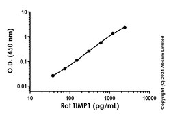 Abcam&nbsp;Rat TIMP1 Antibody Pair - BSA and Azide free, 10 x 96 Tests