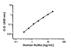 Abcam&nbsp;Human NuMa Antibody Pair - BSA and Azide free, 10 x 96 Tests