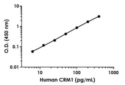 Abcam&nbsp;Human CRM1 Antibody Pair - BSA and Azide free, 10 x 96 Tests