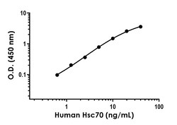 Abcam&nbsp;Human/Mouse/Rat Hsc70 Antibody Pair - BSA and Azide free, 10 x 96 Tests