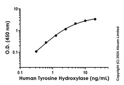 Abcam&nbsp;Human Tyrosine Hydroxylase Antibody Pair - BSA and Azide free, 10 x 96 Tests
