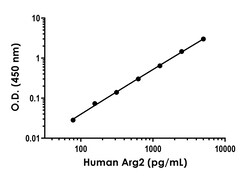 Abcam&nbsp;Human Arg2 Antibody Pair - BSA and Azide free, 10 x 96 Tests