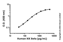 Abcam Human IKK Beta Antibody Pair - BSA and Azide free, 10 x 96 Tests