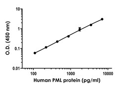 Abcam Human PML Antibody Pair - BSA and Azide free, 10 x 96 Tests