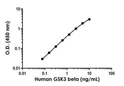 Abcam&nbsp;Human/Mouse/Rat GSK3 beta Antibody Pair - BSA and Azide Free, 10 x 96 Tests