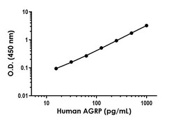 Abcam Human AGRP Antibody Pair - BSA and Azide free, 10 x 96 Tests