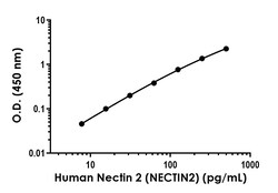 Abcam Human Nectin 2 (NECTIN2) Antibody Pair - BSA and Azide free, 10 x 96 Tests