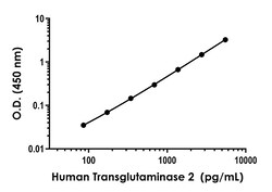 Abcam&nbsp;Human TGM2 Antibody Pair - BSA and Azide free, 10 x 96 Tests