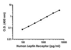 Abcam Human LEPR/Leptin R Antibody Pair - BSA and Azide free, 10 x 96 Tests