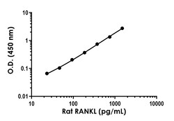 Abcam&nbsp;Rat RANKL Antibody Pair - BSA and Azide free, 10 x 96 Tests