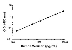 Abcam Human Versican (VCAN) Antibody Pair - BSA and Azide free, 10 x 96 Tests