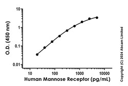 Abcam Human Mannose Receptor Antibody Pair - BSA and Azide free, 10 x 96 Tests