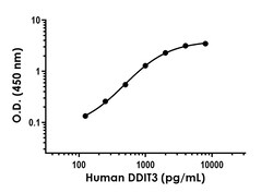 Abcam Human DDIT3 Antibody Pair - BSA and Azide free, 10 x 96 Tests