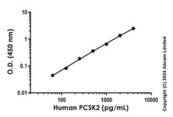Abcam Human PCSK2 Antibody Pair - BSA and Azide free, 10 x 96 Tests