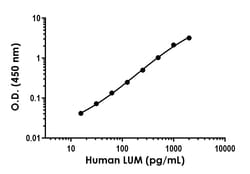 Abcam Human LUM Antibody Pair - BSA and Azide free, 10 x 96 Tests