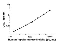 Abcam Human Topoisomerase II alpha Antibody Pair - BSA and Azide free, 10 x 96 Tests