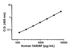 Abcam&nbsp;Human TDP43 Antibody Pair - BSA and Azide free, 10 x 96 Tests