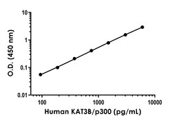 Abcam&nbsp;Human KAT3B / p300 Antibody Pair - BSA and Azide free, 10 x 96 Tests