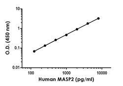 Abcam&nbsp;Human MASP2 Antibody Pair - BSA and Azide free, 10 x 96 Tests