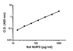 Abcam Rat NLRP3 Antibody Pair - BSA and Azide free, 10 x 96 Tests