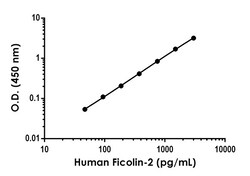 Abcam&nbsp;Human Ficolin-2 Antibody Pair - BSA and Azide free, 10 x 96 Tests