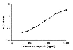 Abcam Human Neurogranin Antibody Pair - BSA and Azide free, 10 x 96 Tests
